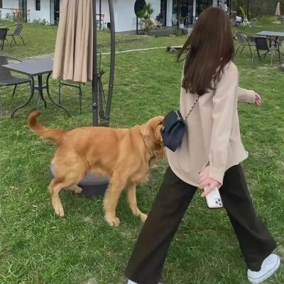 布洛克岛秘音